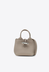 XS Le Roseau Leather Top Handle Bag