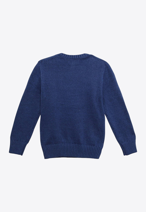 Boys Polo Bear Intarsia Knit Sweater