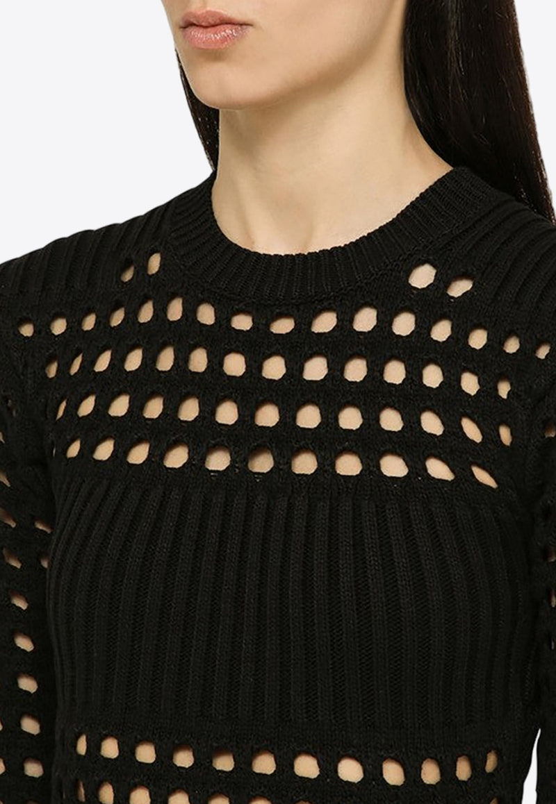 Knitted Mesh Sleeved Midi Dress