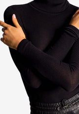 Rib Knit Turtleneck Sweater