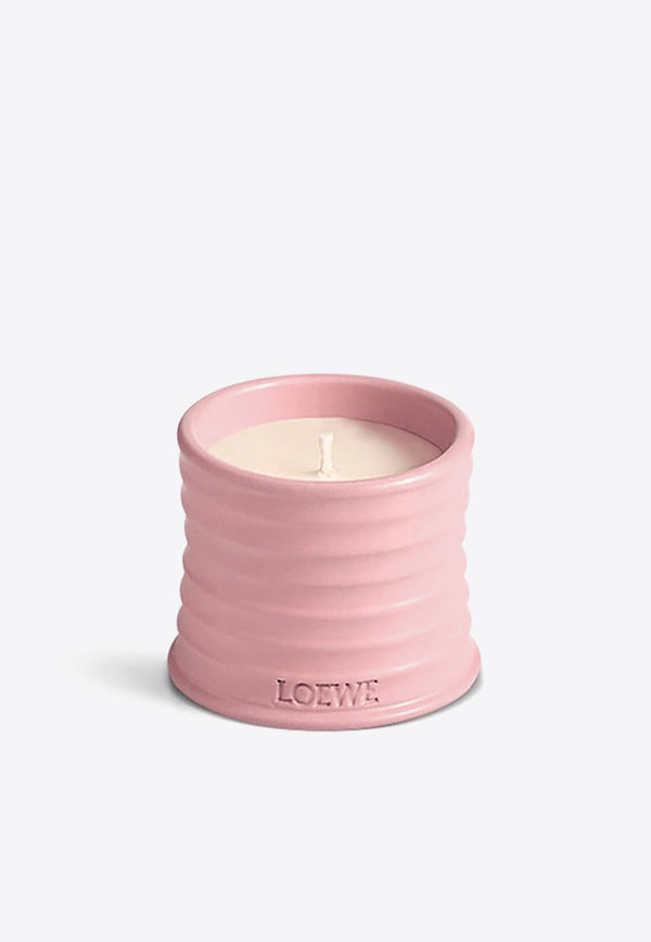 Small Ivy Scented Candle