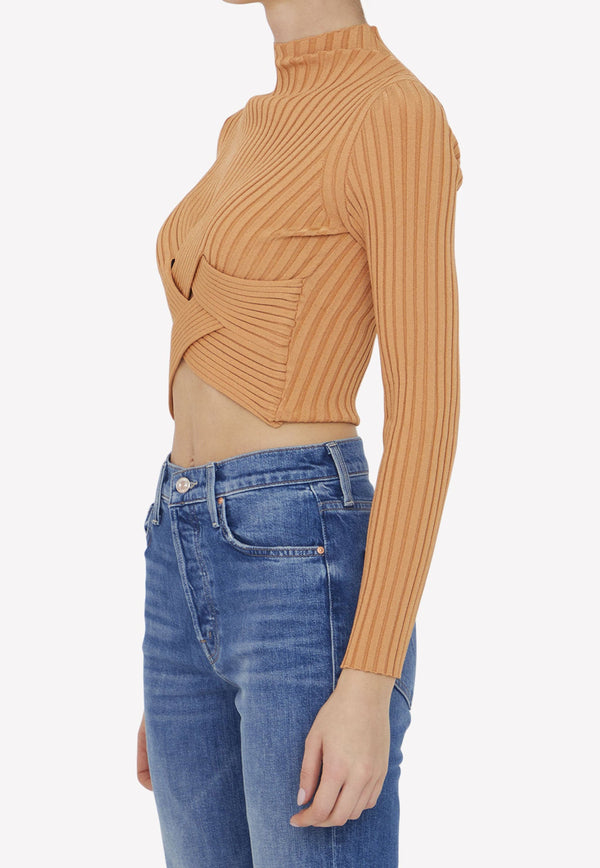 Long-Sleeved Cropped Top