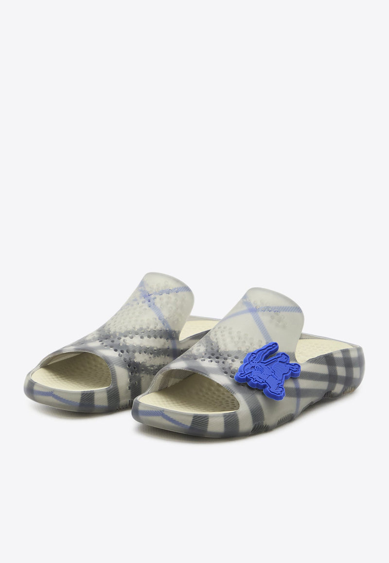 Stingray Checked Slides