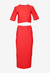 Hilarity Cropped Top and Midi Skirt Set