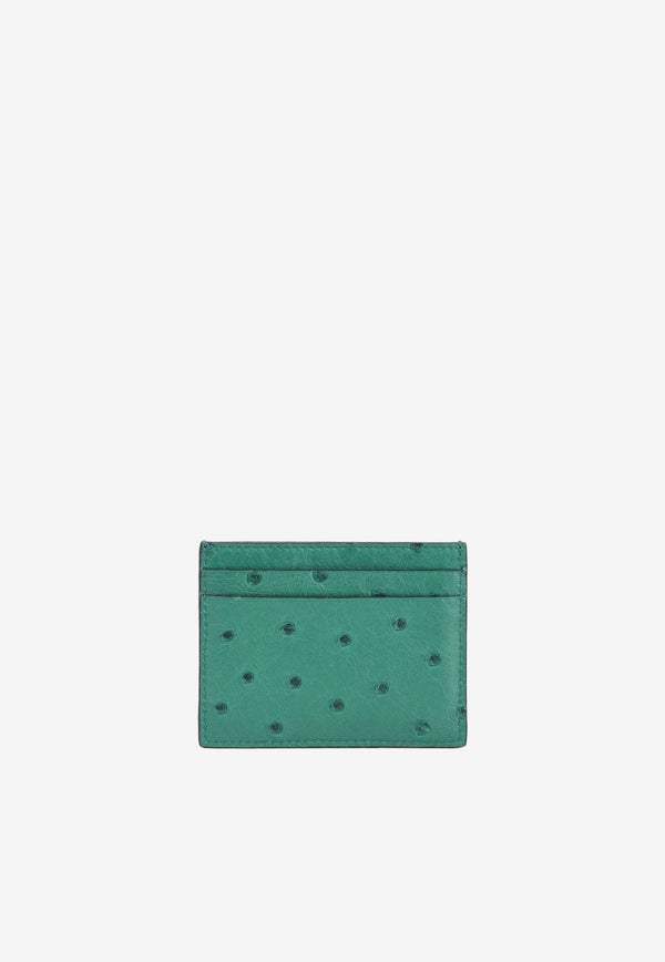 VLogo Cardholder in Ostrich Leather