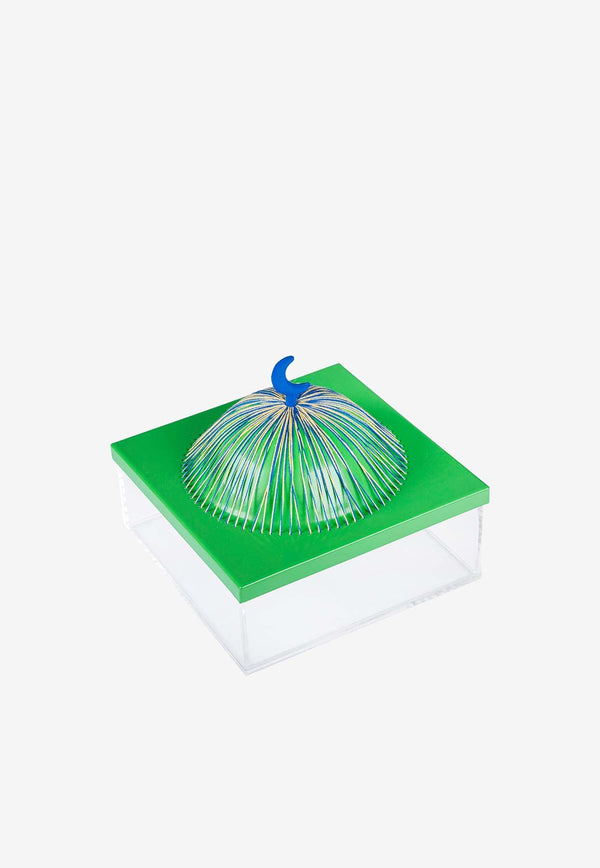 Medium Acrylic Dome Box